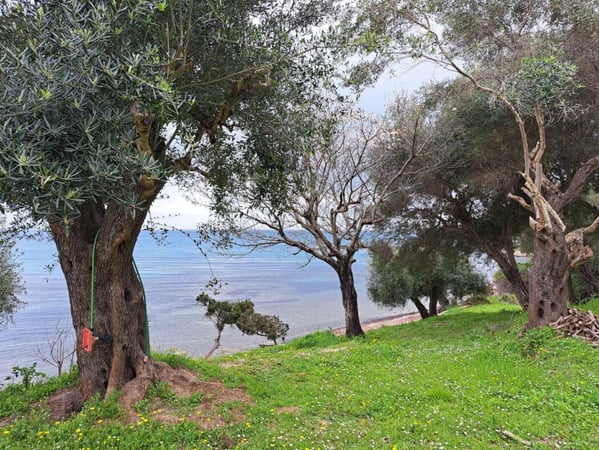 Land in Mesongi - view 1