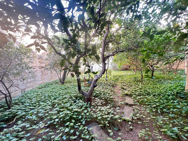 House in Haz-Zebbug - view 1