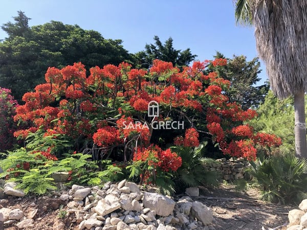 House in Iz-Zurrieq - view 1