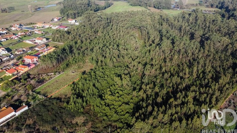 Land in Beduido - view 1