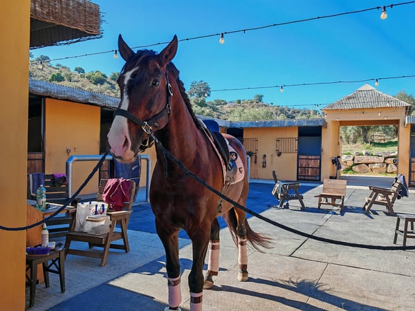 Farm, Ranch or Equestrian in Coin - view 1