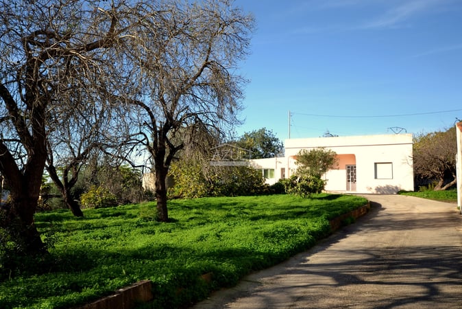 Villa in Loule - view 1