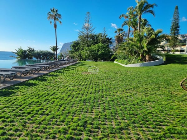 Apartment in Sao Martinho - view 1