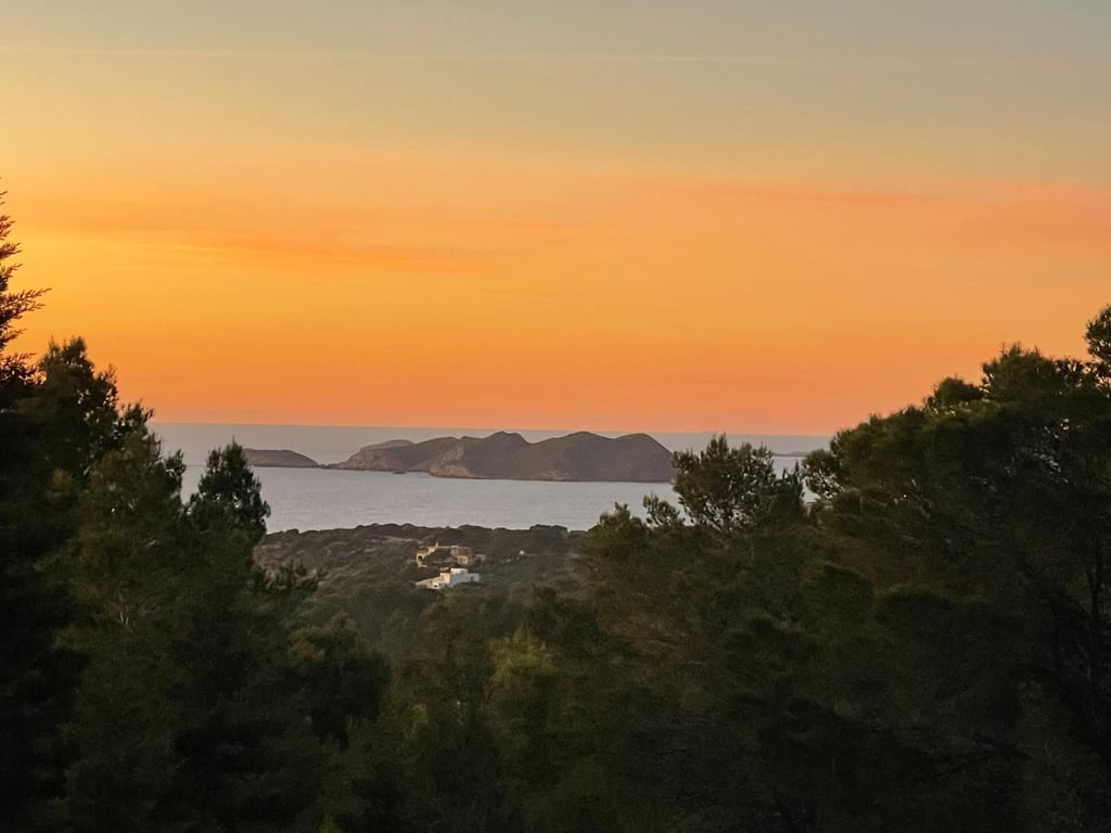 House in Cala Tarida - Image 3