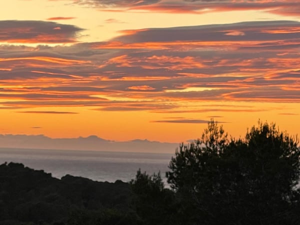 House in Cala Tarida - view 1