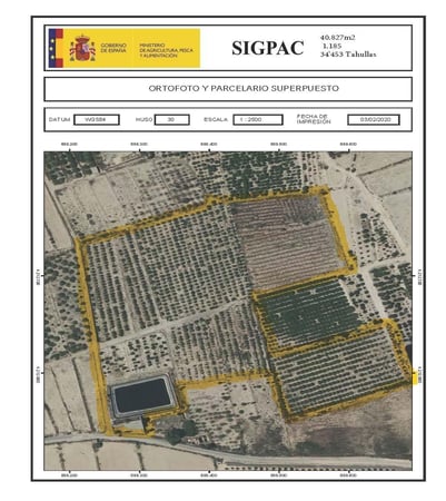 House in Jacarilla - view 1