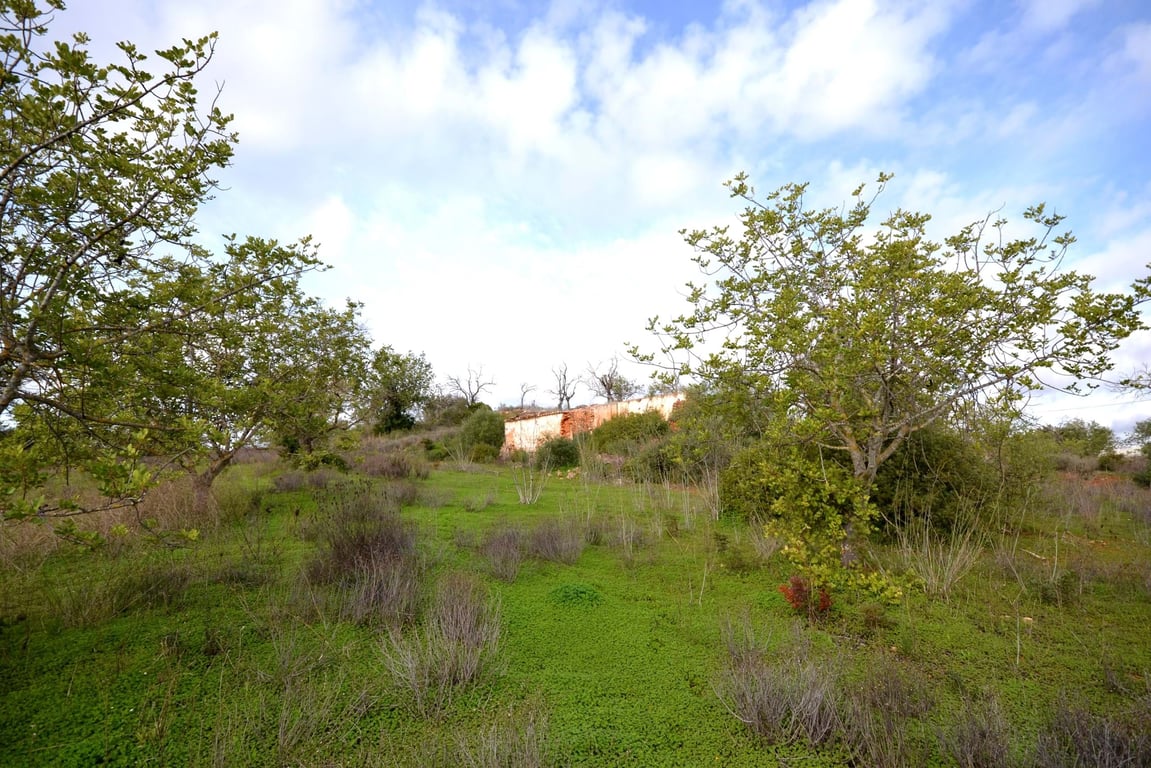 House in Boliqueime - Image 2