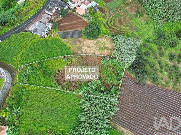 Land in Santana - view 1