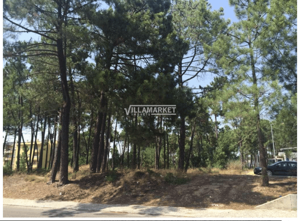 Land in Vila Nogueira de Azeitao - view 1