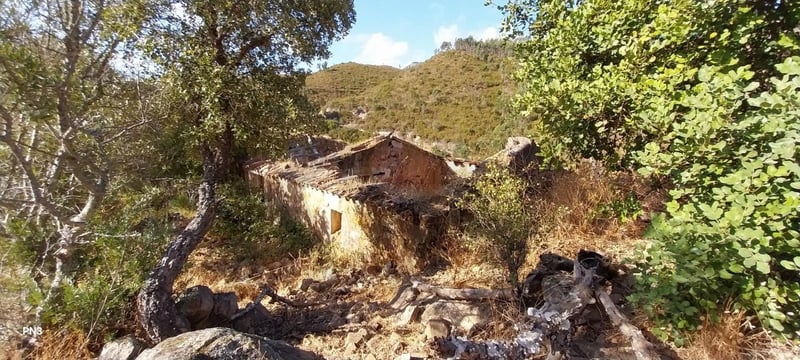 Land in Alferce - view 1