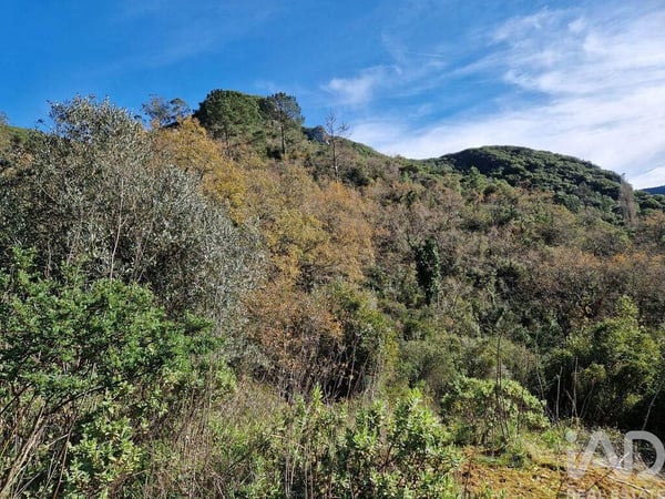 House in Porto de Mos - view 1