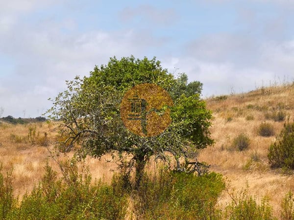 Land in Castro Marim - view 1
