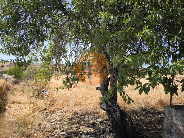 Land in Alcoutim - view 1