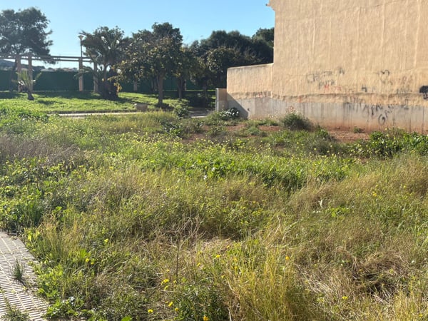 Land in Atamaria - view 1