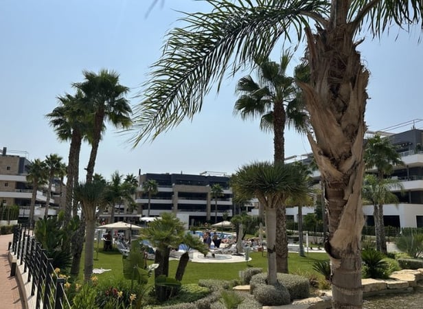 Apartment in Playa Flamenca - view 1