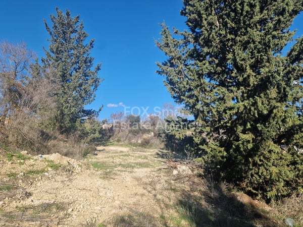 Land in Tsada - view 1