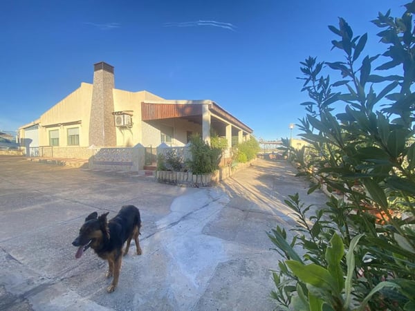 Villa in Casas del Cura - view 1