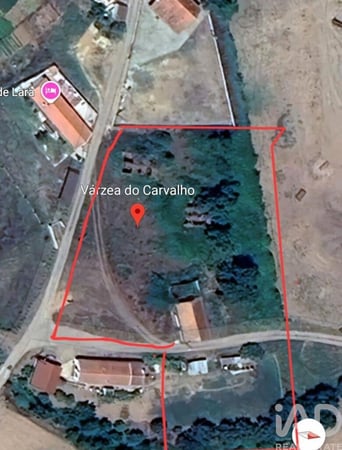 Land in Sao Teotonio - view 1