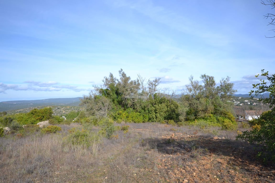 Land in Loule - Image 2