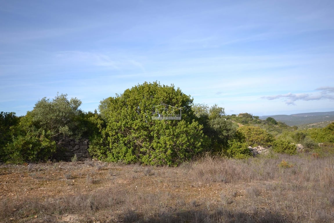 Land in Loule - Image 3