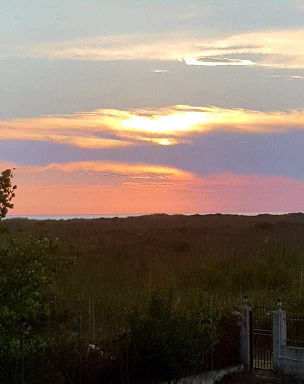 House in Central Greece - Image 3