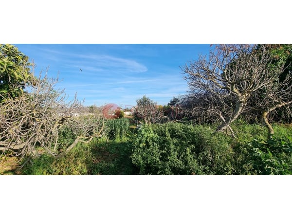 House in Tavira (Santiago) - view 1