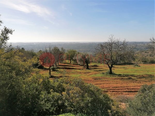 House in Boliqueime - view 1