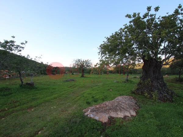 House in Portela - view 1