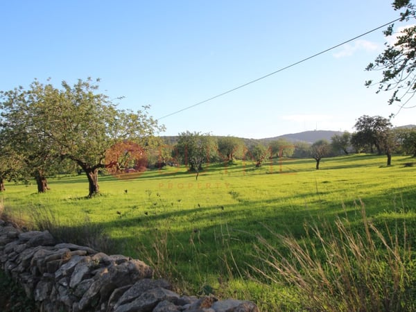 House in Portela - view 1
