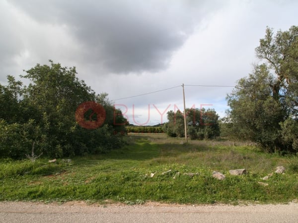 House in Boliqueime - view 1