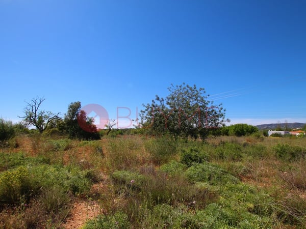 House in Quelfes - view 1