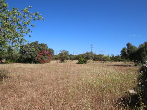 House in Estoi - view 1