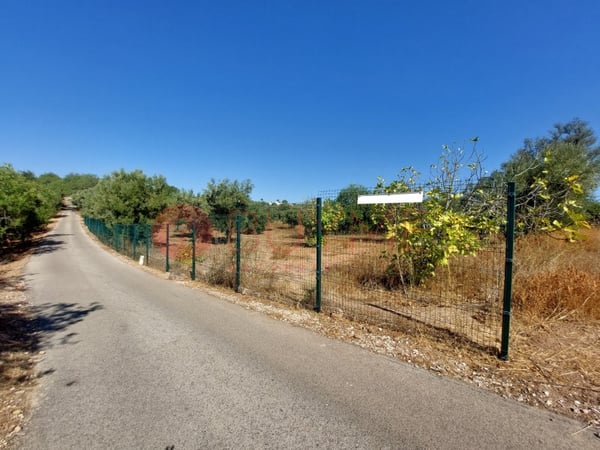 House in Loule (Sao Clemente) - view 1