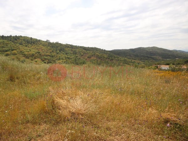 House in Querenca - view 1