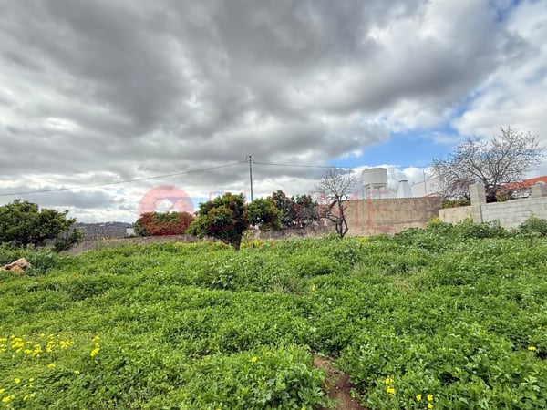 House in Sao Bras de Alportel - view 1