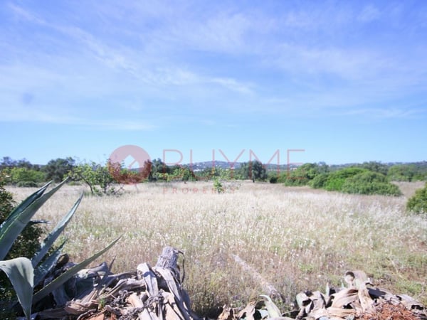 House in Campina de Baixo - view 1