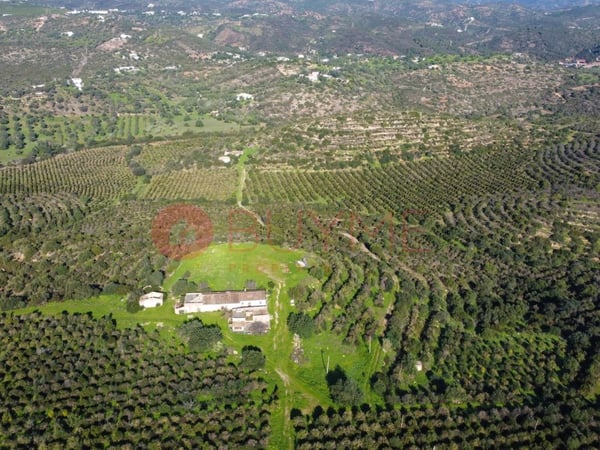 House in Santo Estevao - view 1