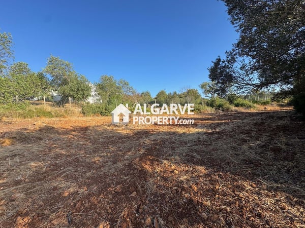 Land in Ribeiro - view 1