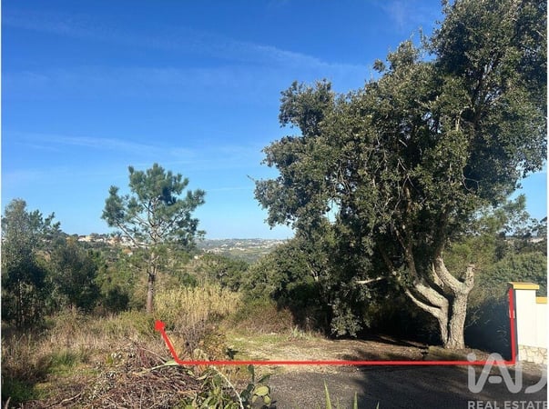 Land in Mafra - view 1