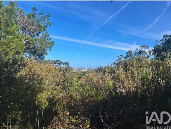 Land in Mafra - view 1