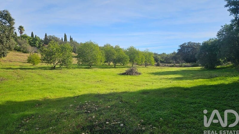 Land in Sao Pedro - view 1
