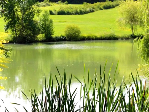 House in Thenac - view 1