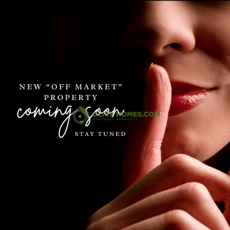 House in Sao Lourenco - view 1