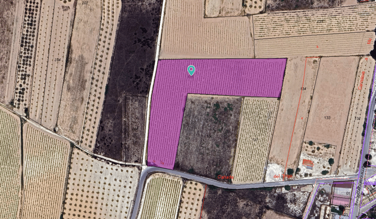 Land in Pinoso - view 1