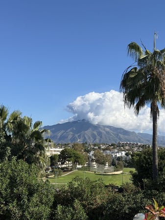 House in Guadalmina - view 1