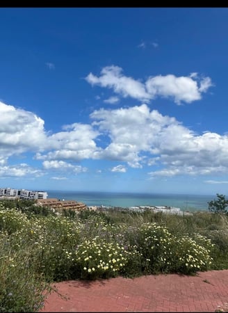 Land in Arroyo de la Miel - view 1
