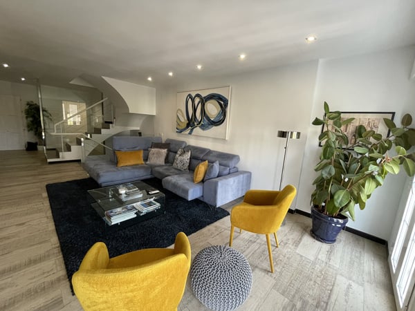 House in Nueva Andalucia - view 1