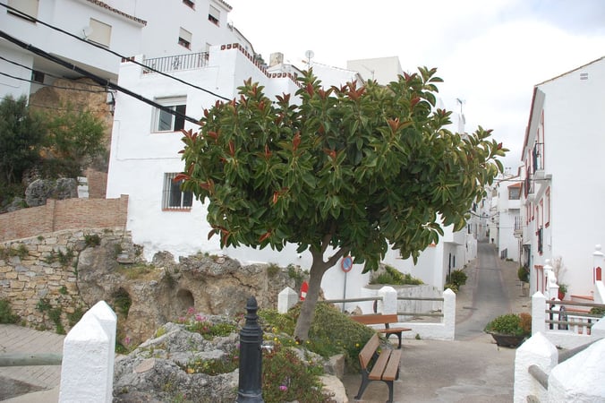 House in Casares - view 1