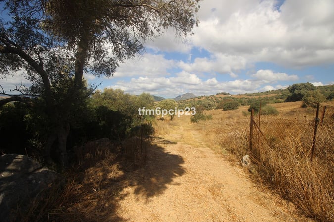 Land in Casares - view 1