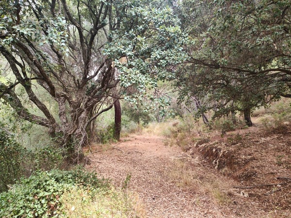 Land in Istan - view 1